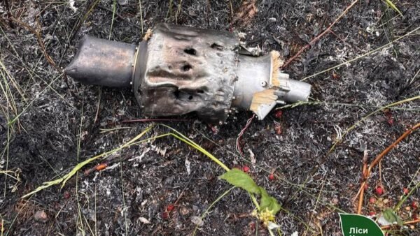 На Київщині ліквідували дві лісові пожежі, спричинені уламками російського дрона