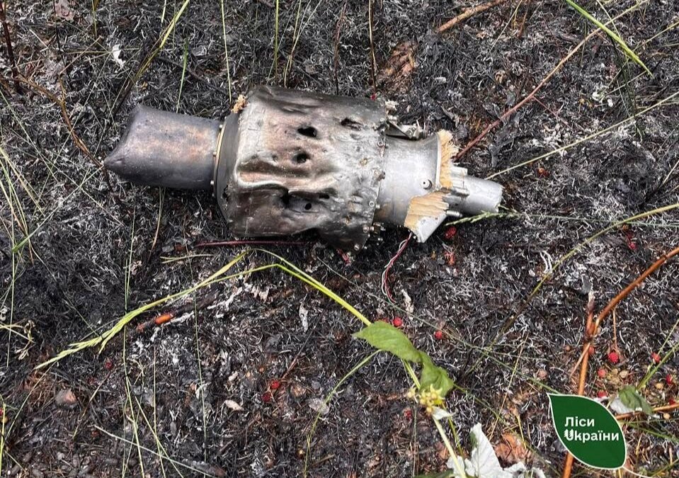 На Київщині ліквідували дві лісові пожежі, спричинені уламками російського дрона