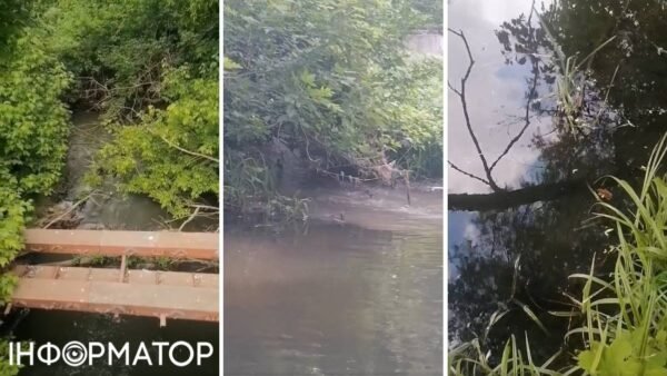 Масовий скид нечистот у річку Бучанку: джерело забруднення та його наслідки для Київщини