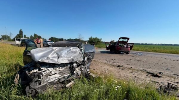 Смертельна ДТП поблизу Рогозова: п’ятеро загиблих, двоє травмованих