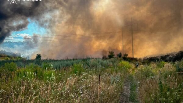Ліквідація пожежі у Нових Петрівцях: горить сміттєзвалище та лісова підстілка
