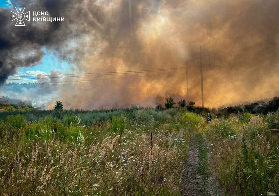 Ліквідація пожежі у Нових Петрівцях: горить сміттєзвалище та лісова підстілка