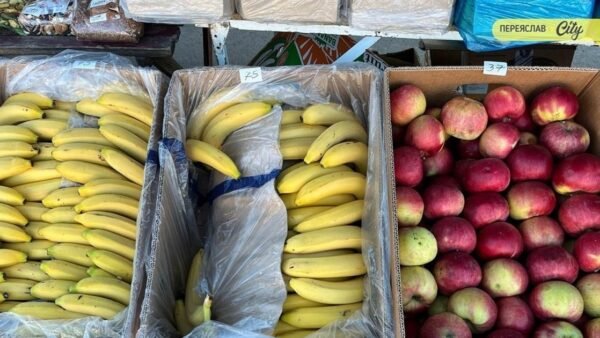 Ціни на продукти на Київщині: чого очікувати від хліба, овочів та фруктів влітку 2026 року