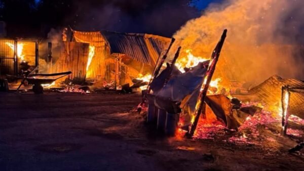 Пожежа у притулку «Сіріус» на Київщині: знищено вольєри та загинули собаки