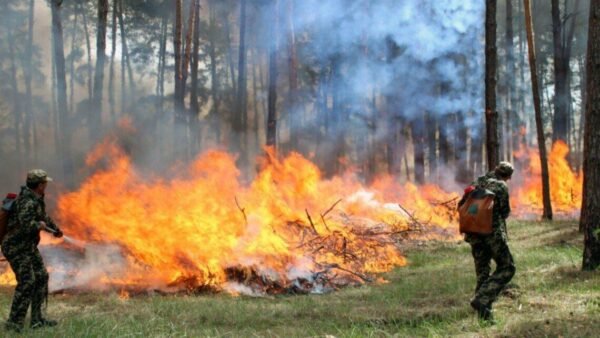 На Київщині та в столиці прогнозують надзвичайний рівень пожежної небезпеки