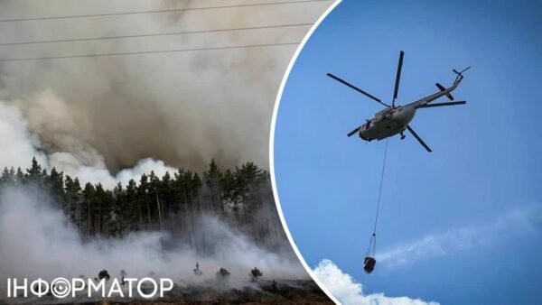 Масштабна лісова пожежа у Вишгородському районі: вогонь охопив кілька кілометрів