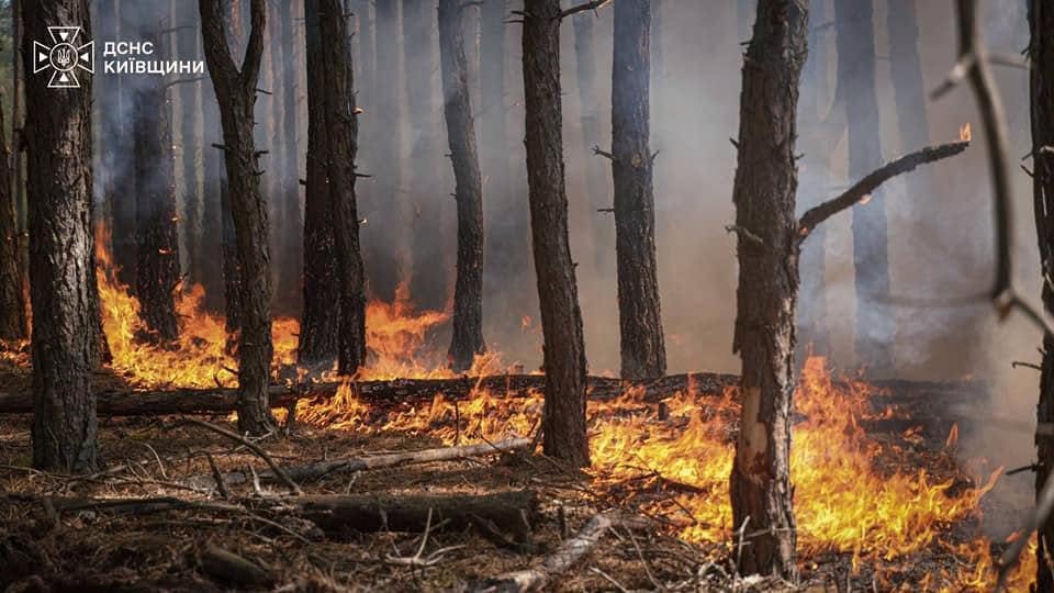 Ліквідація лісової пожежі поблизу Богданівки на Вишгородщині триває четверту добу