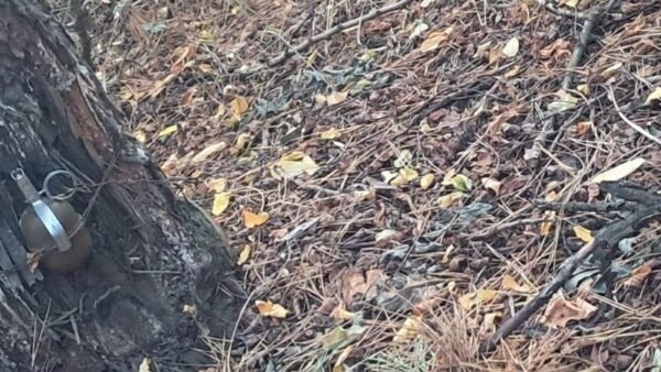 На Київщині виявили вибухонебезпечні предмети поблизу Мотижина