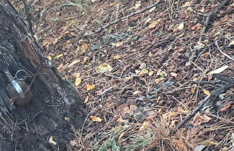 На Київщині виявили вибухонебезпечні предмети поблизу Мотижина