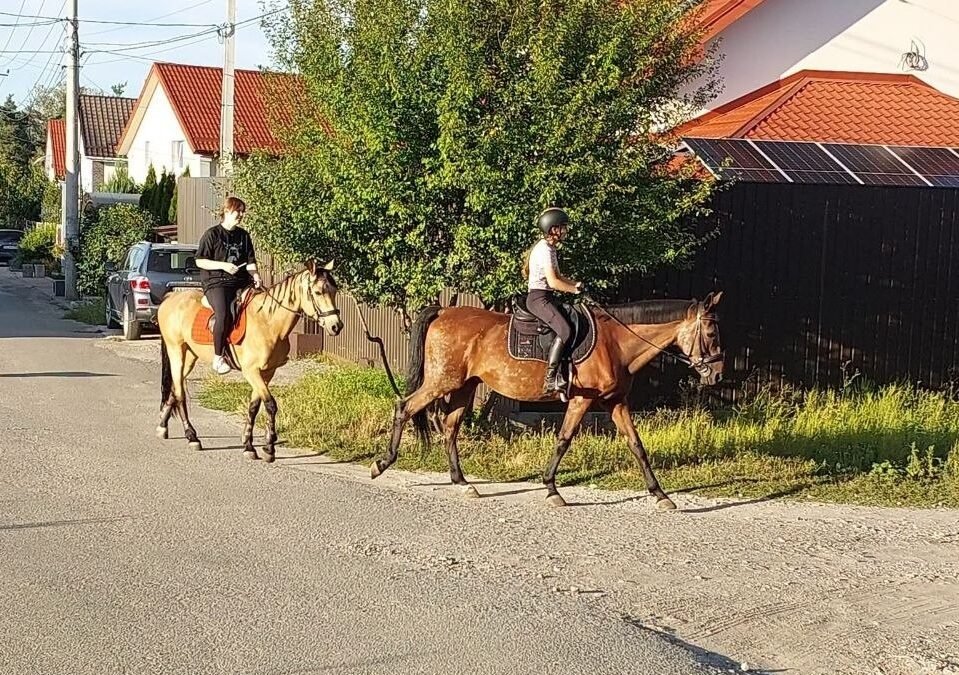 У Старій Боярці проблеми з дорожнім покриттям: мешканці скаржаться на важкість пересування