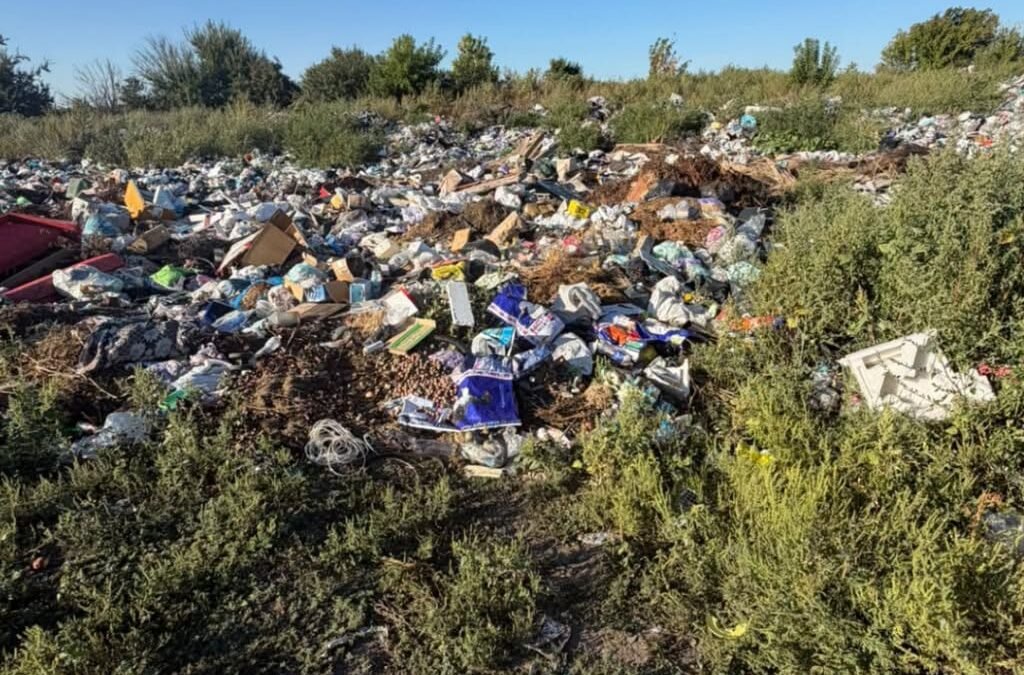 У Сухолісах Узинської громади виявили несанкціоноване сміттєзвалище площею понад гектар