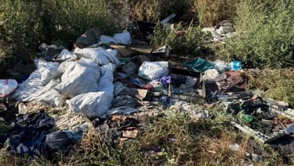 В Узинській громаді Білоцерківського району виявили несанкціоноване звалище на сільгоспземлях