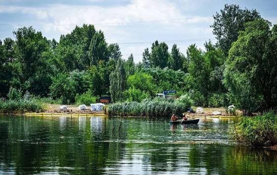 Річка Борщагівка у Бучанському районі забруднена важкими металами та кислотами: поліція розслідує