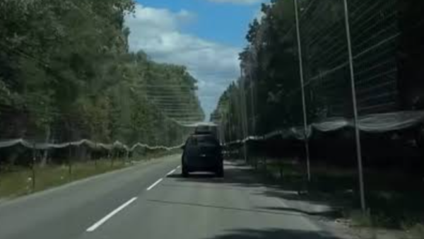 Додатковий захист на дорогах Київщини: антидронові сітки над трасами