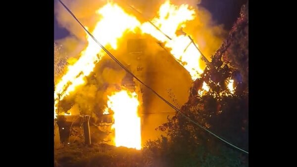 На Київщині ворожий удар пошкодив центр реабілітації диких птахів